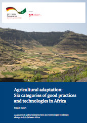 Agricultural adaptation: Six categories of good practices and technologies in Africa